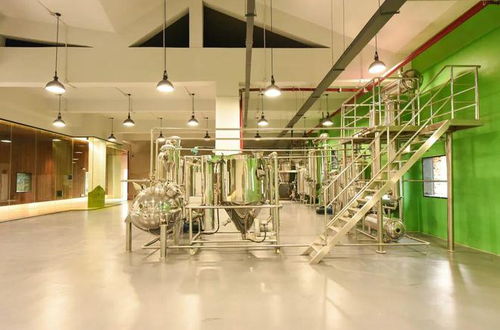 游弋在有形與無形之間 麗江田園橄欖油廠室內設計